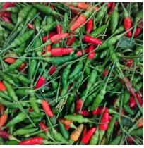 Bird’s Eye Chilies